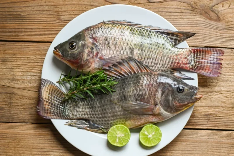 FROZEN BLACK TILAPIA WHOLE CLEANED – magnawave.com.my